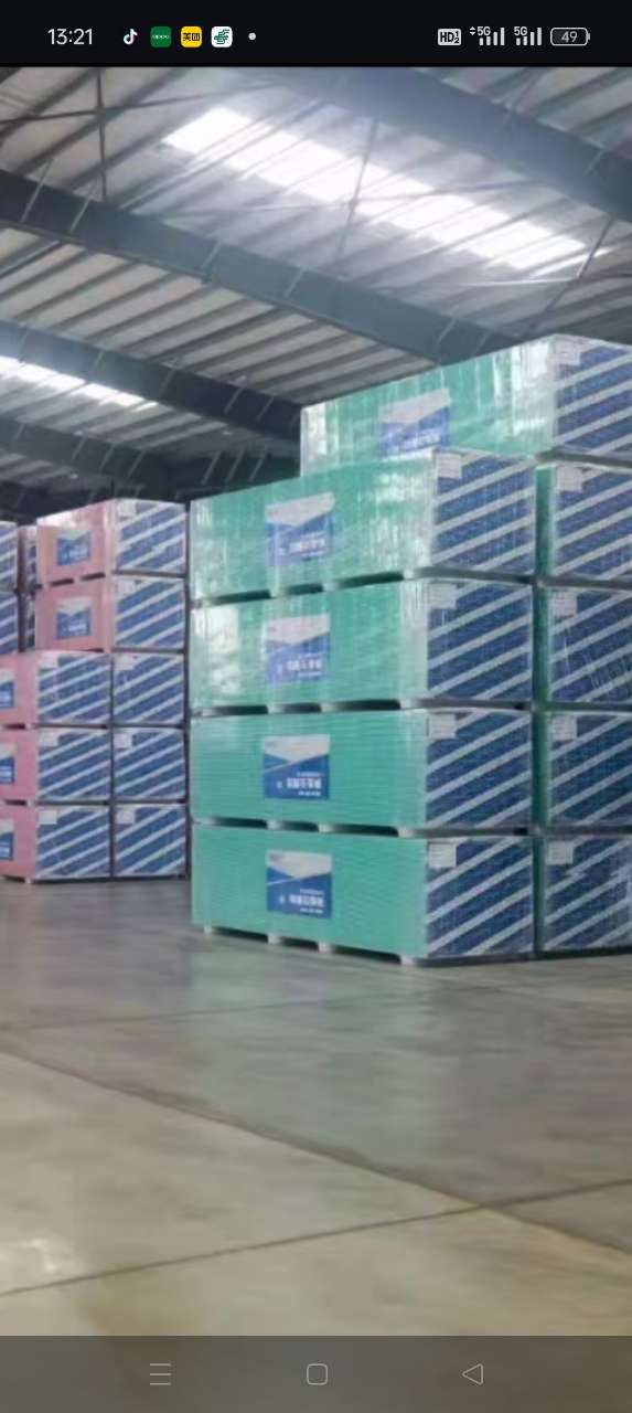 Gypsum board